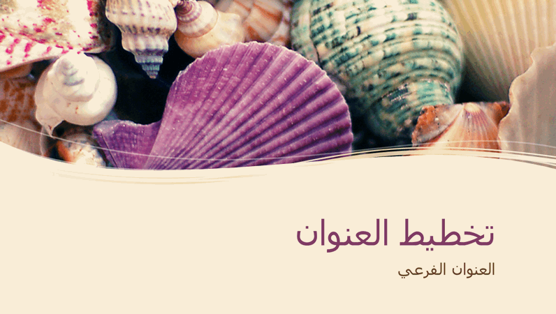مجموعة أصداف بحرية ملونة مجموعة أصداف بحرية ملونة