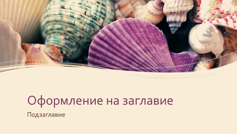 Цветна колекция от мидени черупки Цветна колекция от мидени черупки