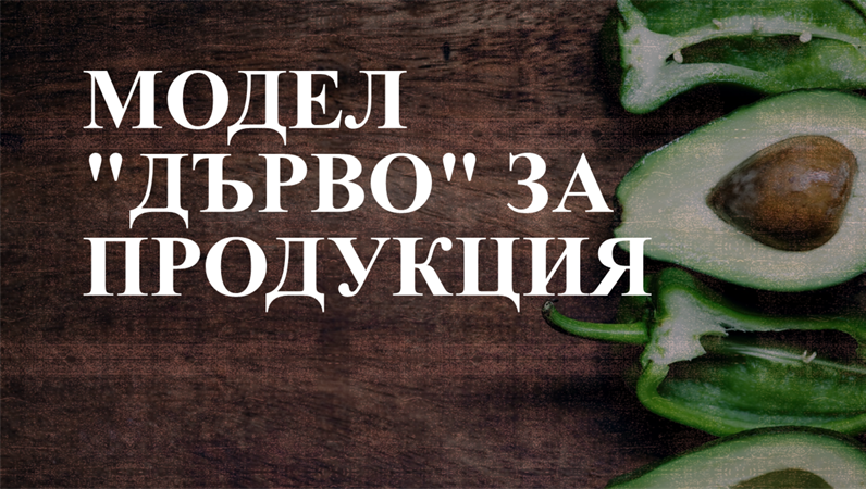 Модел "Дърво" за продукция Модел "Дърво" за продукция