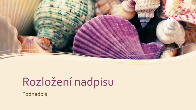 Sbírka barevných mušlí Sbírka barevných mušlí