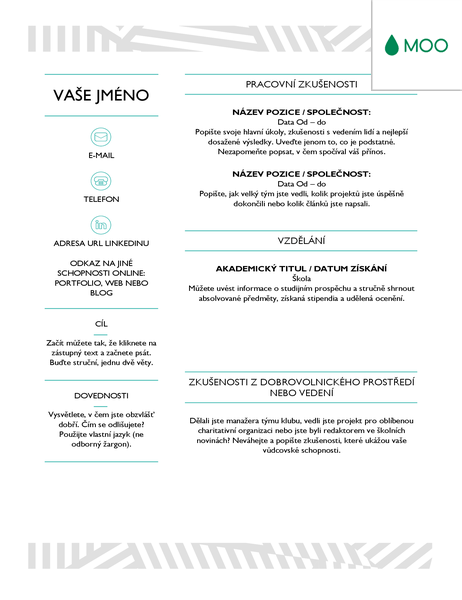 Kreativní životopis, návrh od společnosti MOO Kreativní životopis, návrh od společnosti MOO