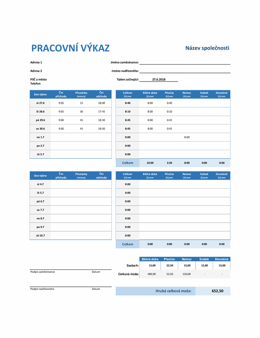 Týdenní pracovní výkaz Týdenní pracovní výkaz