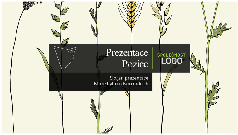 Prodejní prezentace Prodejní prezentace