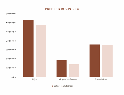 Firemní rozpočet Firemní rozpočet