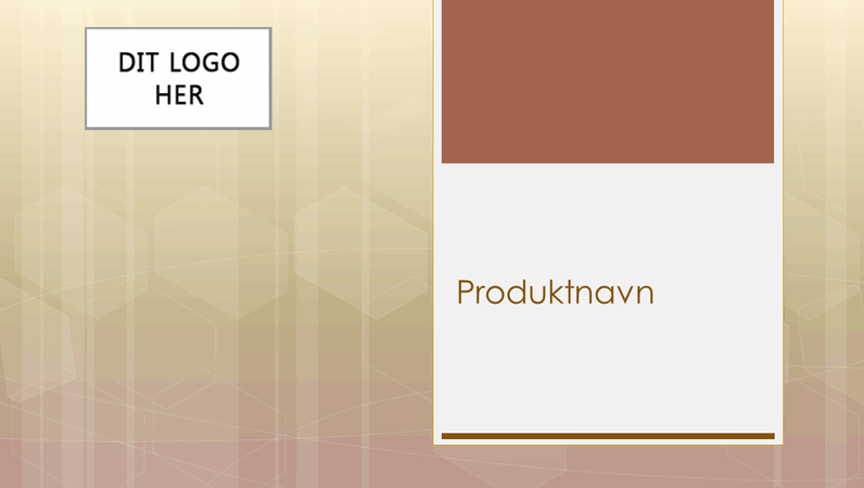 Præsentation af virksomhedsproduktoversigt Præsentation af virksomhedsproduktoversigt