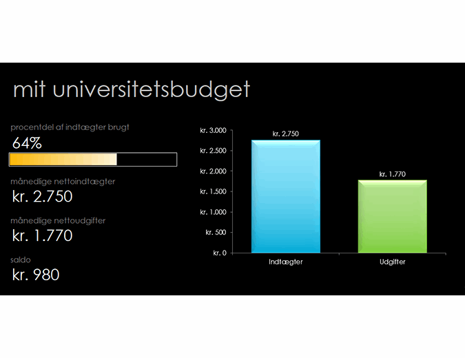 Mit universitetsbudget