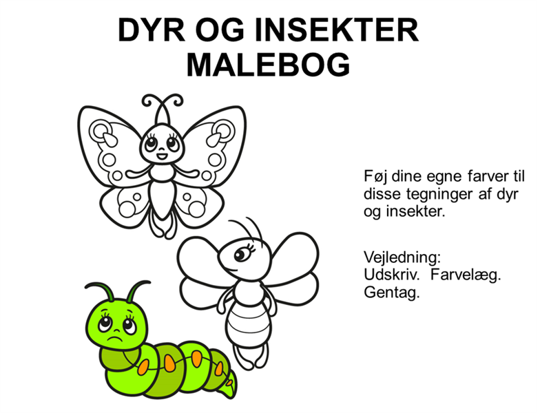 Malebog med dyr og insekter Malebog med dyr og insekter