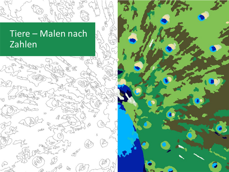 Malen nach Zahlen „Tiere“ Malen nach Zahlen „Tiere“