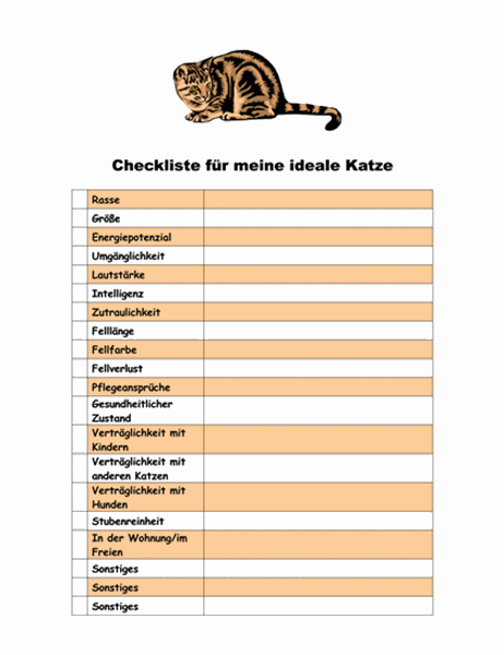 Checkliste für meine ideale Katze