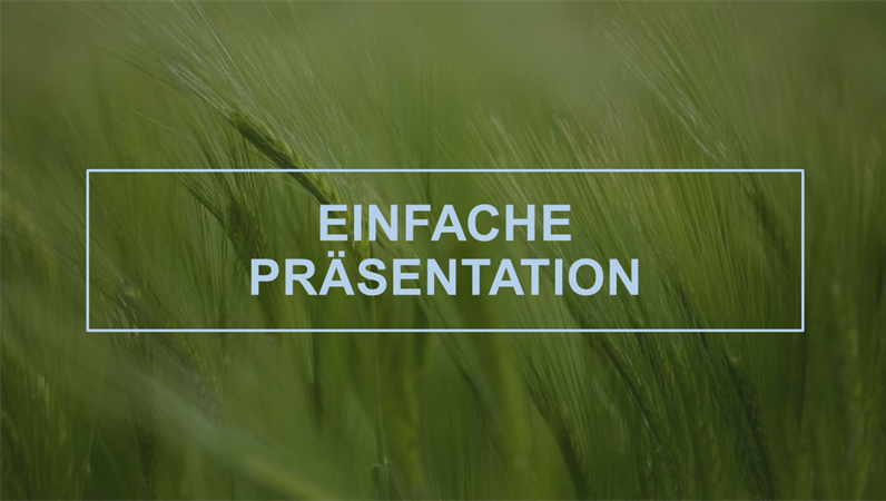 Grüne Verkaufspräsentation Grüne Verkaufspräsentation