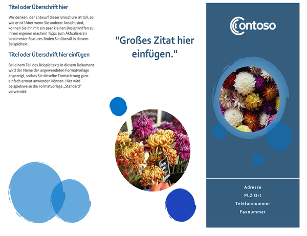 Broschüre mit blauen Kreisen Broschüre mit blauen Kreisen