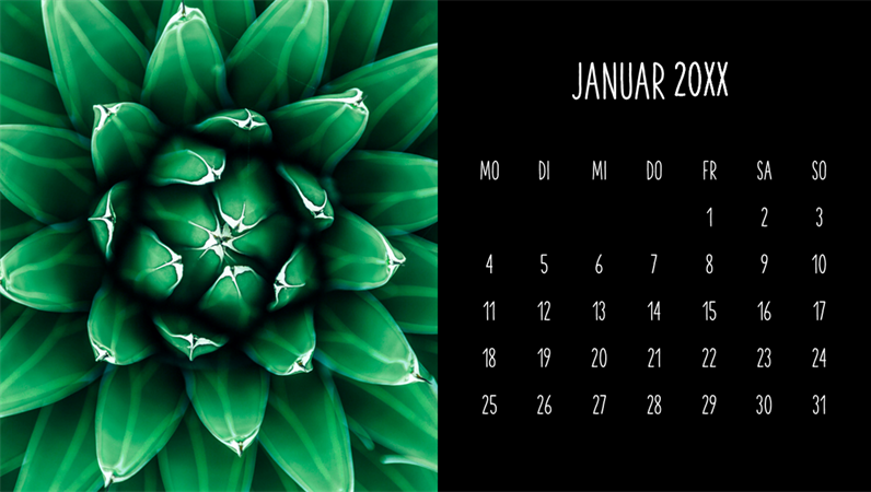 Monatskalender zum Thema Sukkulenten Monatskalender zum Thema Sukkulenten