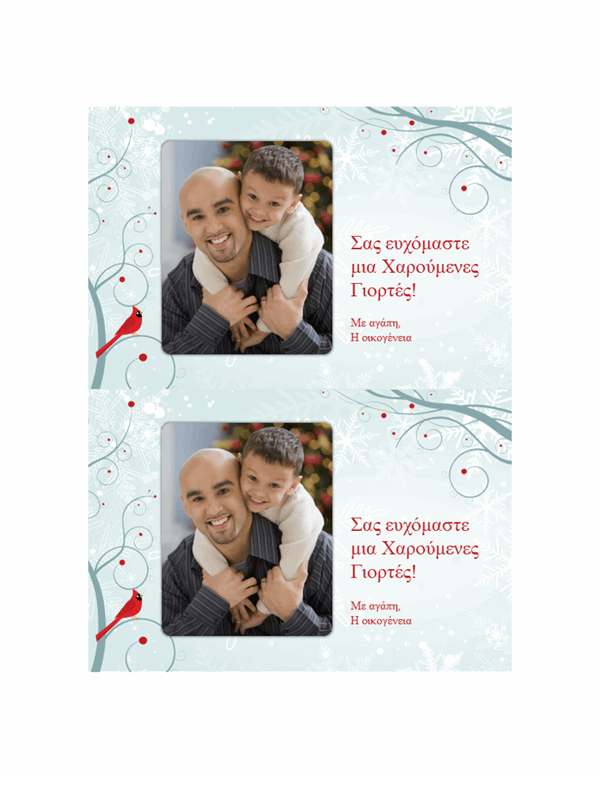 Εορταστικές φωτογραφικές κάρτες που απεικονίζουν νιφάδες χιονιού     (δύο ανά σελίδα)