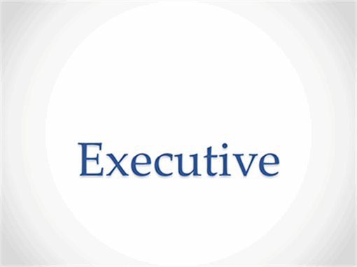 Executive Executive