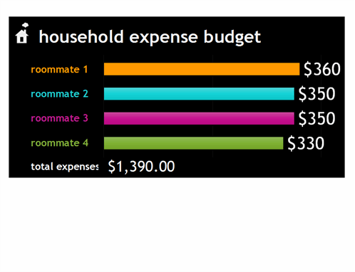 Household expense budget