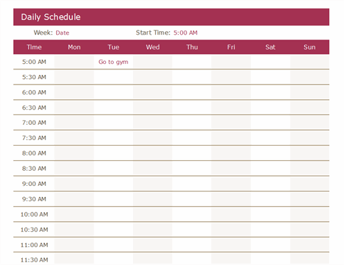 daily schedule template Daily Schedule