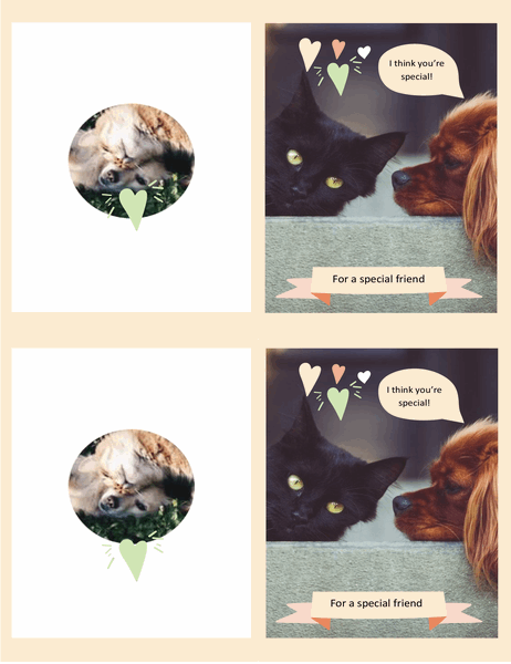 Kittens and puppies every day card