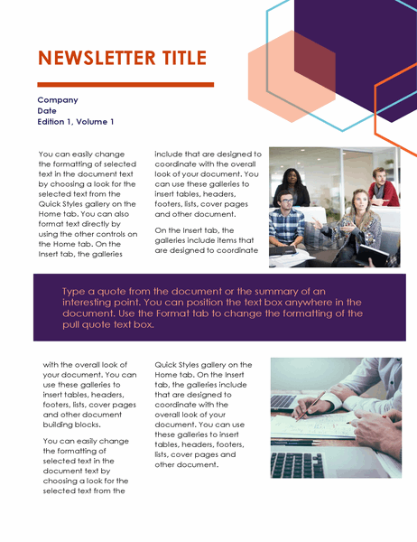 Newsletter Executive Design 2 Pages