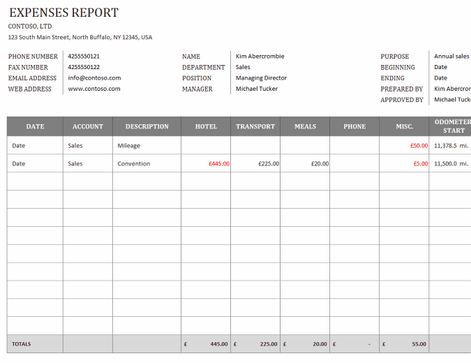 Project Intake Form Template Excel