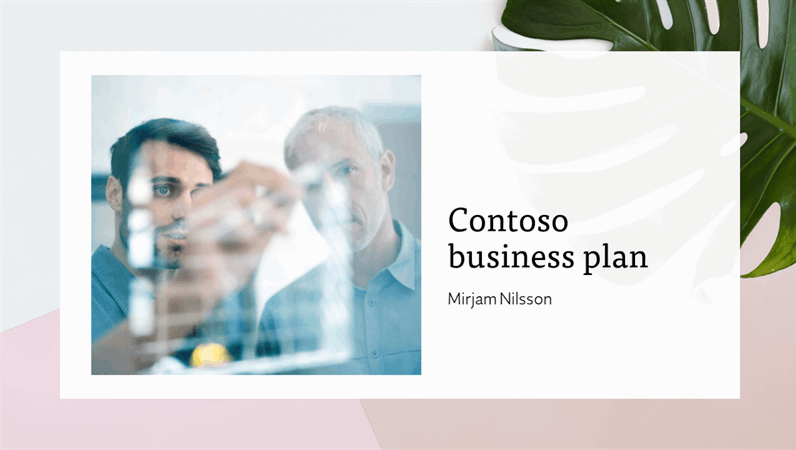 Business plan presentation