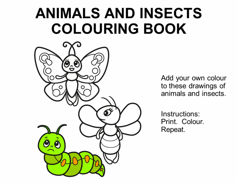 Animals and insects colouring book Animals and insects colouring book