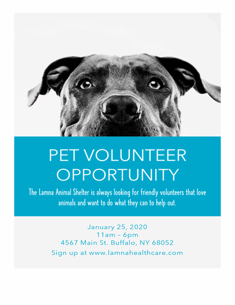 Pet volunteer opportunity flyer