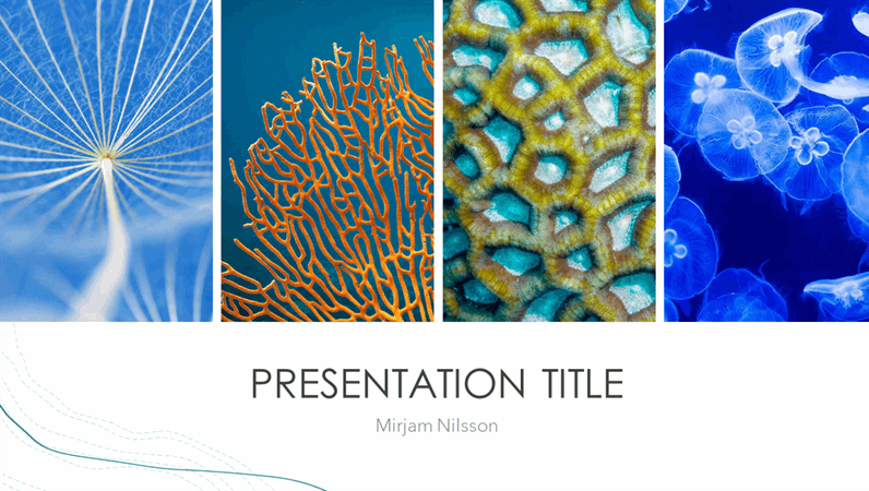 Ocean presentation Ocean presentation