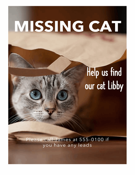 Missing cat flyer