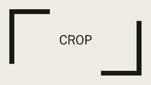 Crop