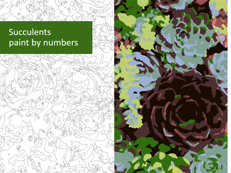 Succulents paint by numbers Succulents paint by numbers