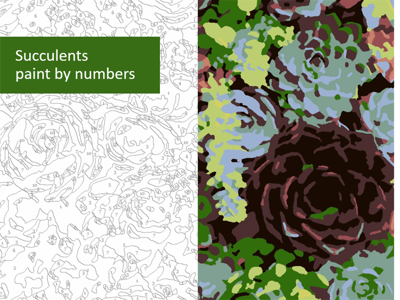 Succulents paint by numbers