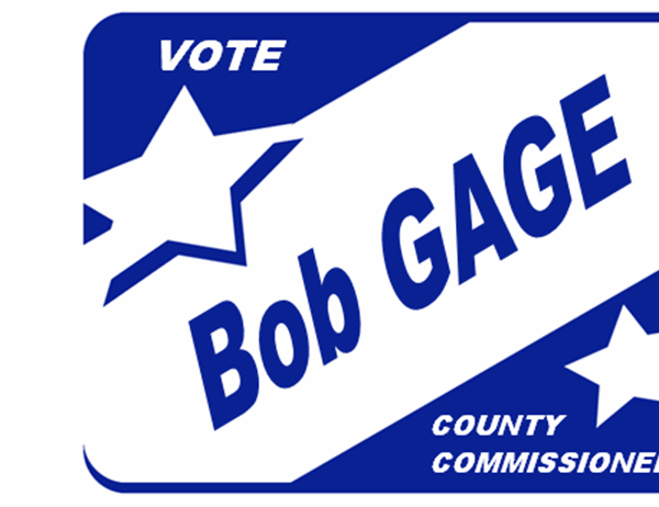 Election Sign For Window