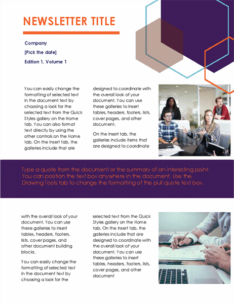 Newsletter Executive Design 2 Pages
