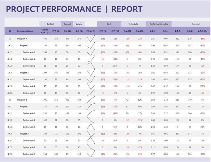 Project performance report