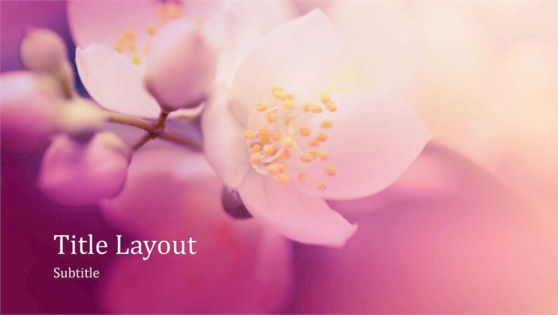 Cherry blossom nature presentation (widescreen) Cherry blossom nature presentation (widescreen)