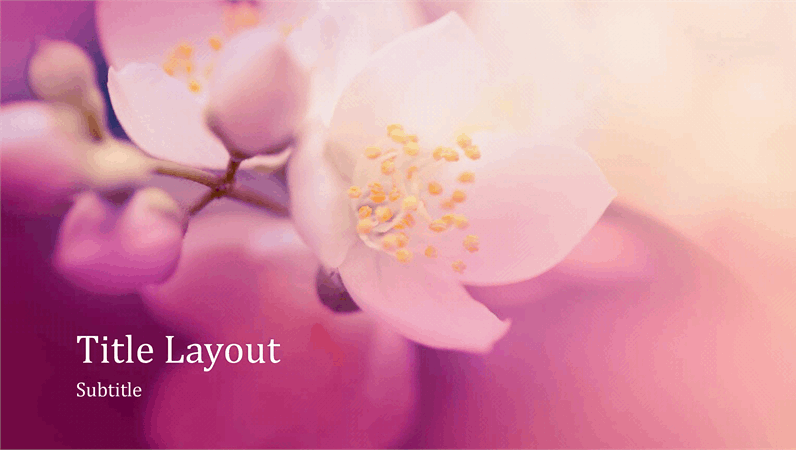 Cherry blossom nature presentation (widescreen)