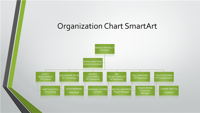 Organizational chart (gray, green, widescreen)