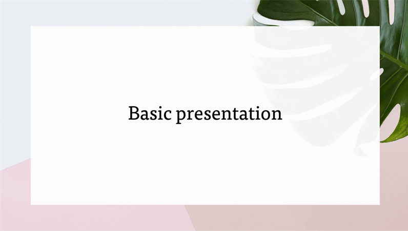 Business Plan Presentation