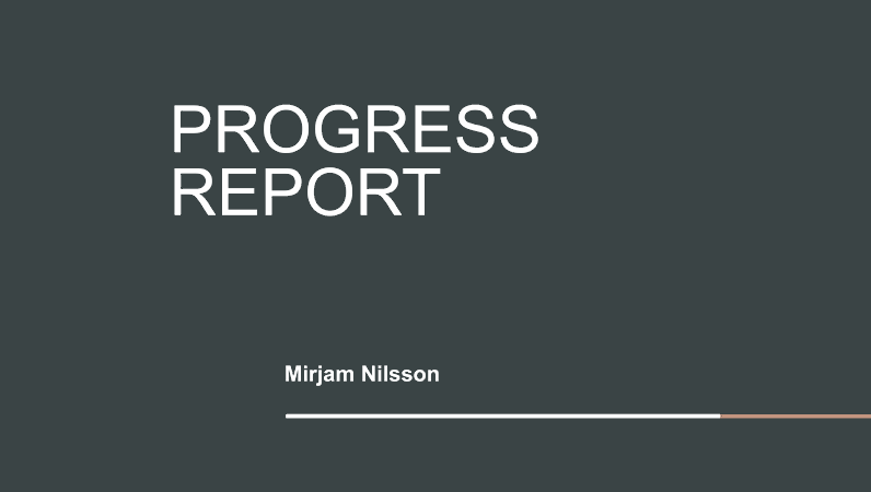 Project Status Report