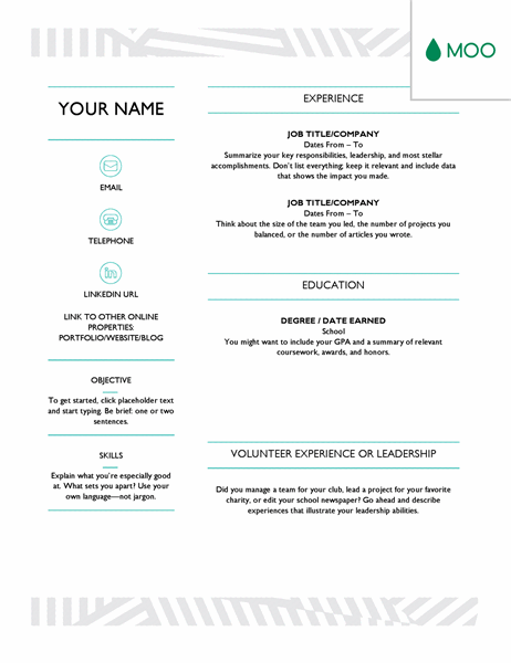 Creative resume, designed by MOO
