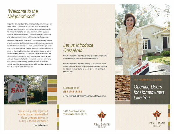 Real estate business brochure (tri-fold)