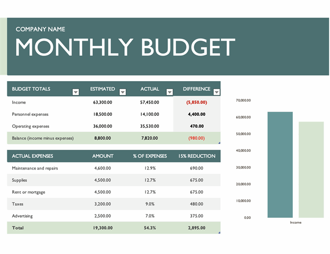 Business monthly budget