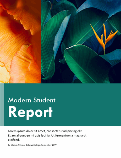 Colorful student report