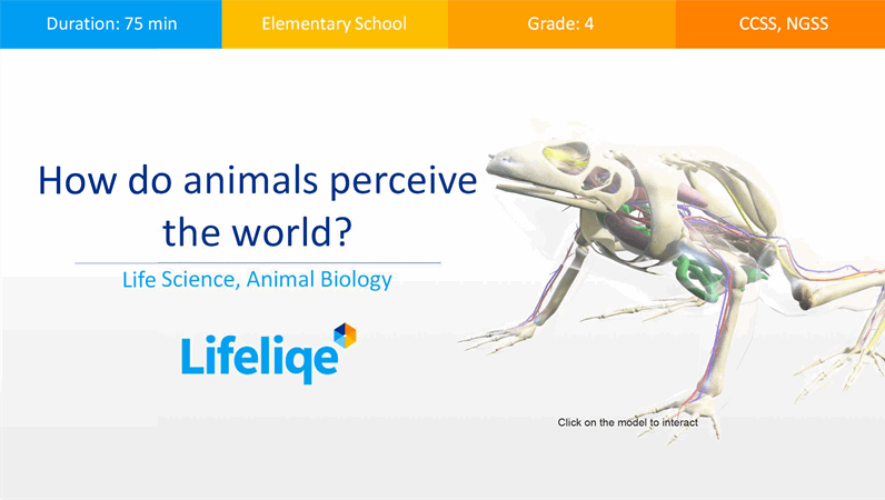 How do animals perceive the world?