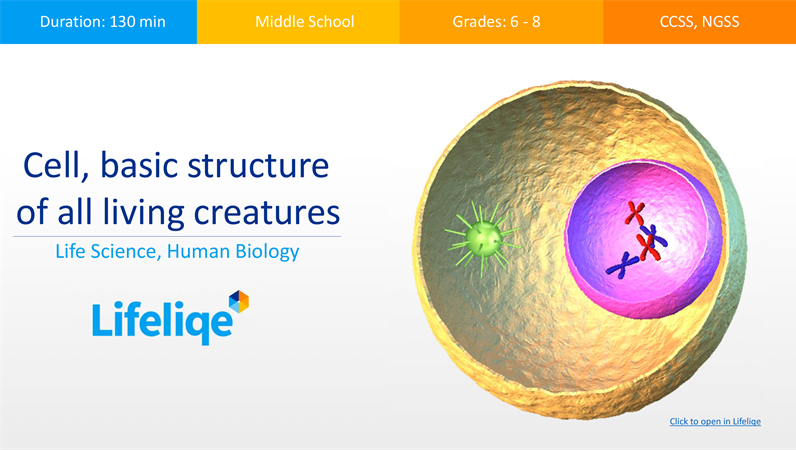 cell-basic-structure-of-all-living-creatures