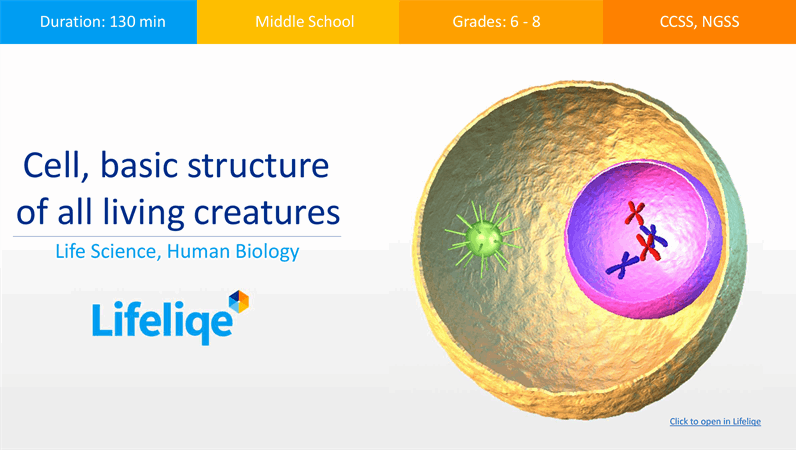 Cell, basic structure of all living creatures
