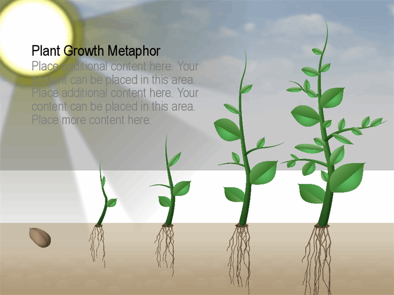 Plant growth graphic