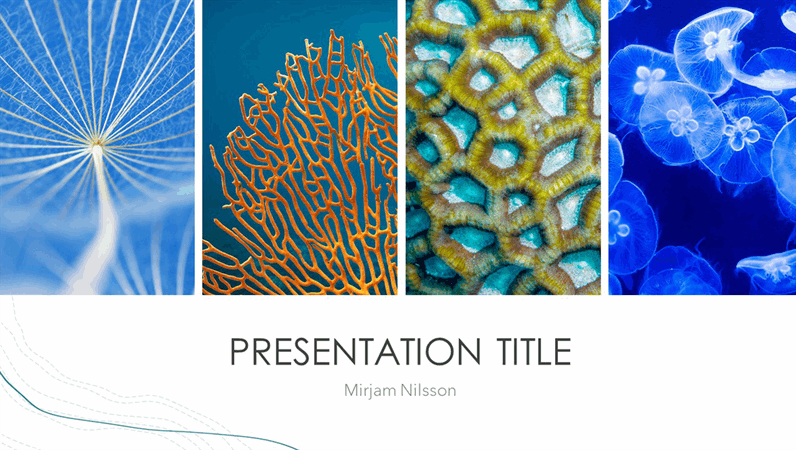 Ocean presentation