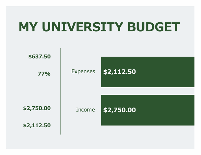 College income and expenses budget