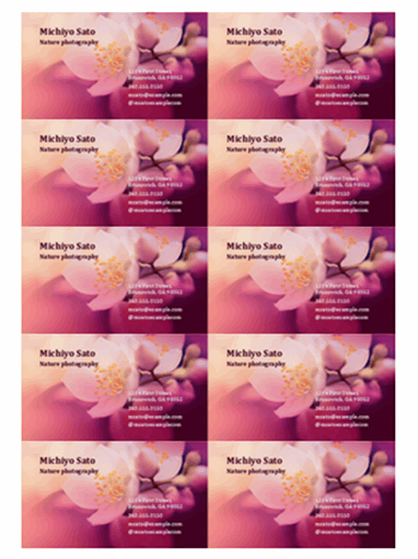 Business cards (flower photo)